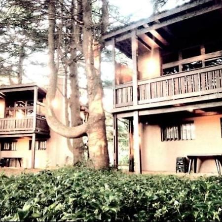 Posta Chimango, Cabanas Frente Al Golf Los Acantilados Mar del Plata Exterior foto
