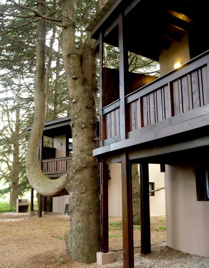 Posta Chimango, Cabanas Frente Al Golf Los Acantilados Mar del Plata Exterior foto